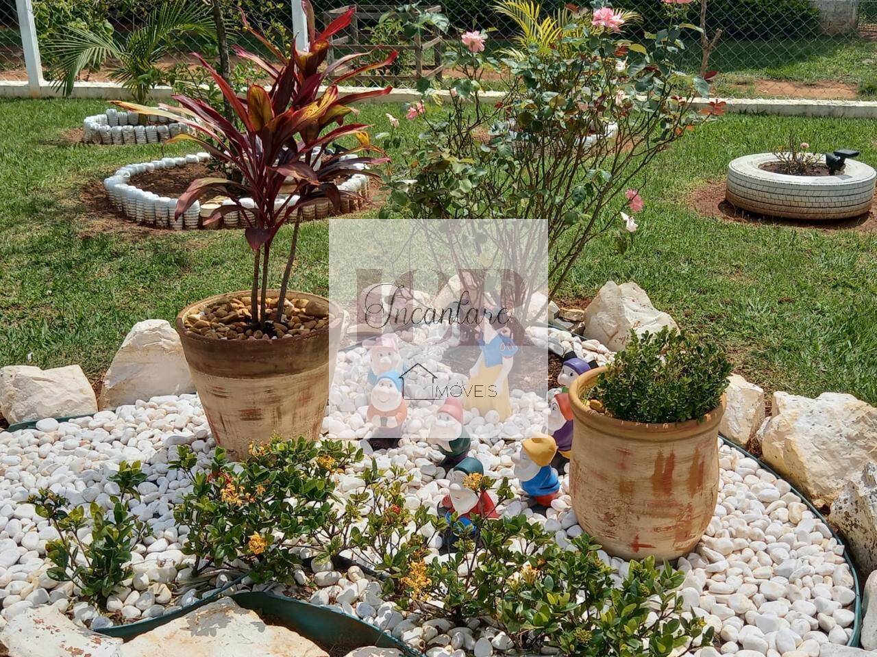 Chácara, 4 quartos, 1000 m² - Foto 4