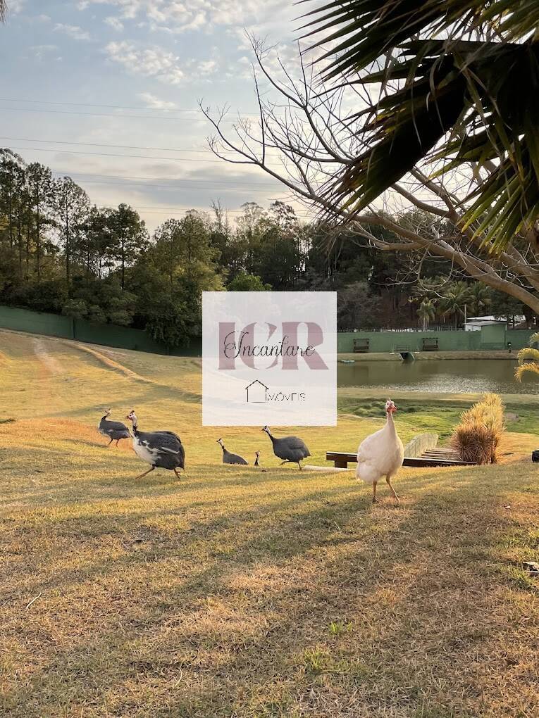 Casa de Condomínio, 3 quartos - Foto 34