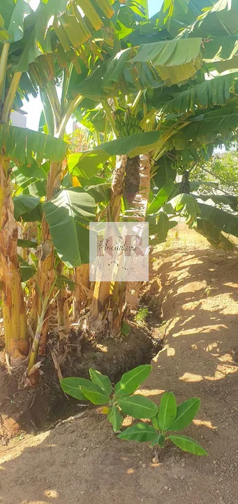 Casa, 3 quartos, 150 m² - Foto 5