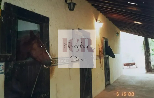 Sítio, 8 quartos, 11 hectares - Foto 14