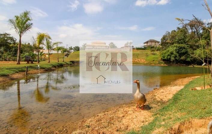 Terreno, 800 m² - Foto 6