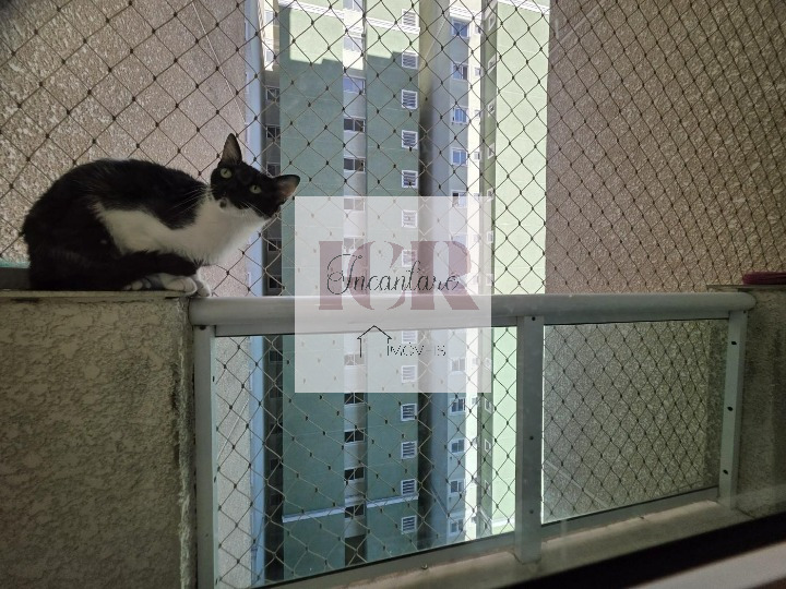 Apartamento à venda com 2 quartos, 54m² - Foto 9